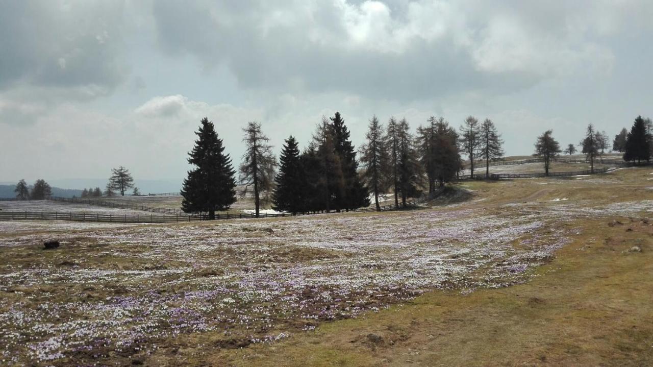 Appartamento Alpenrose Meltina Esterno foto
