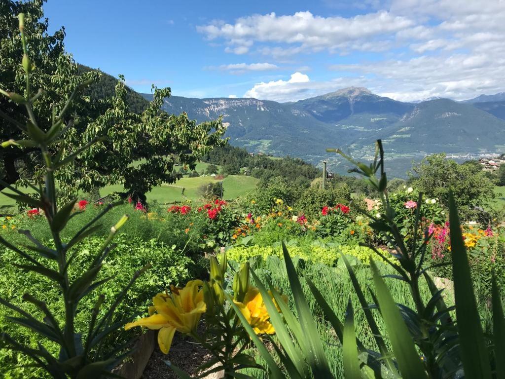 Appartamento Alpenrose Meltina Esterno foto
