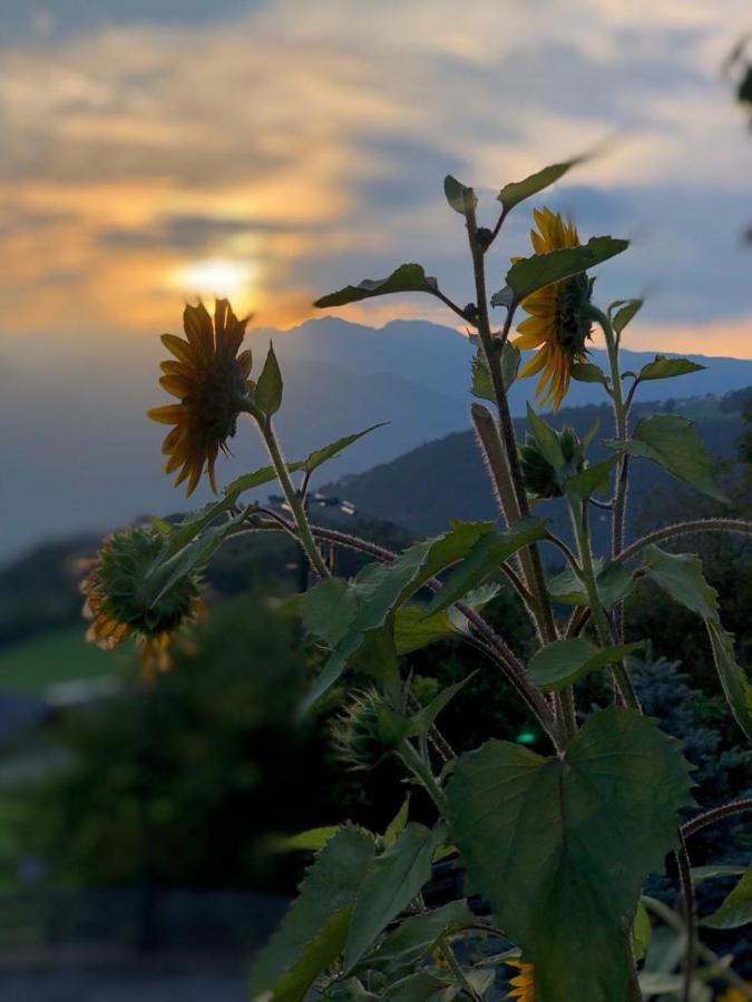Appartamento Alpenrose Meltina Esterno foto