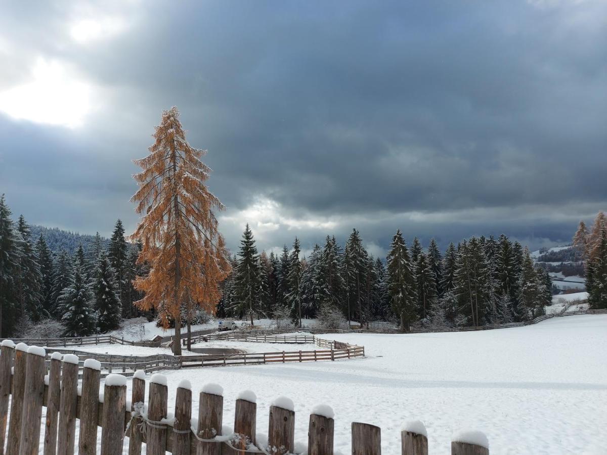 Appartamento Alpenrose Meltina Esterno foto