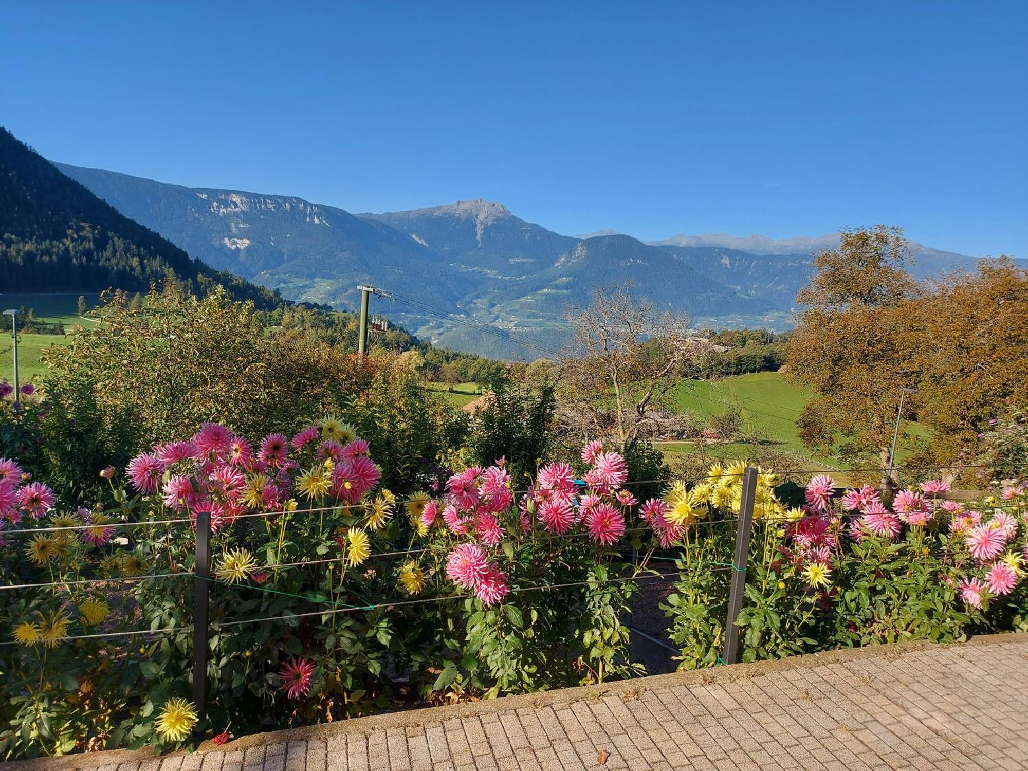 Appartamento Alpenrose Meltina Esterno foto